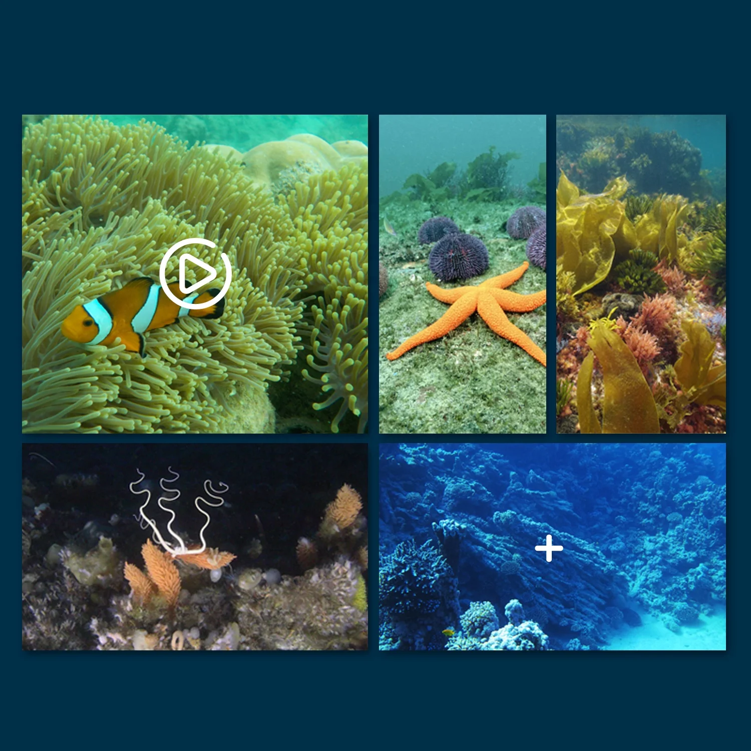 Mobile Remote Control Spy Boat APP Control Wifi Wireless Gravity Sense Induction Video Taking RC Camera Ship Toys For Kids