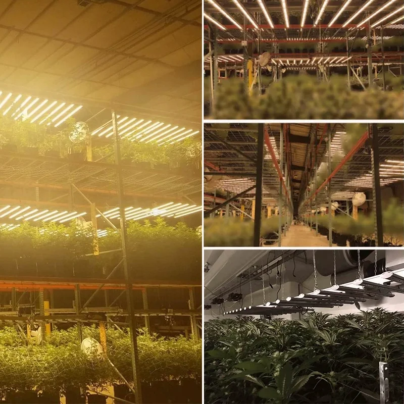 TGAP wholesale 2022 industrial led greenhouse grow lights 1000w full spectrum high ppdf growers choice