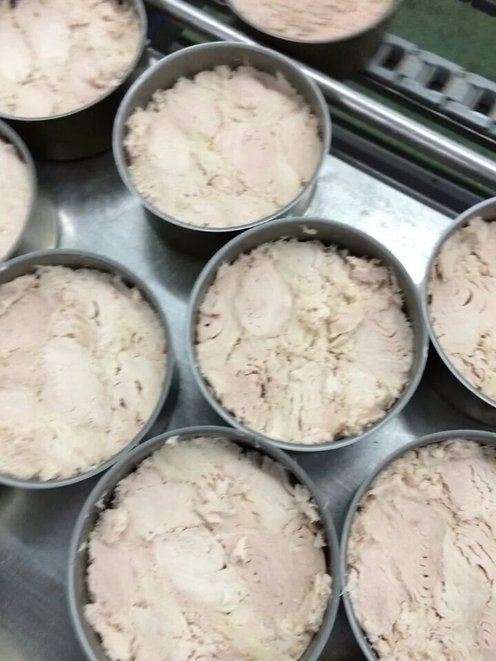Консервированный желтоплавник тунца, рыба, белое мясо в рассоле