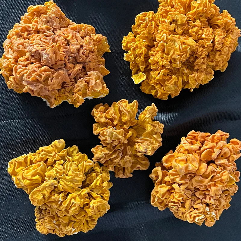 1KG Loose Golden-ear Fungus Jin Er Natural Raw Dried Golden Ear Mushroom for Food