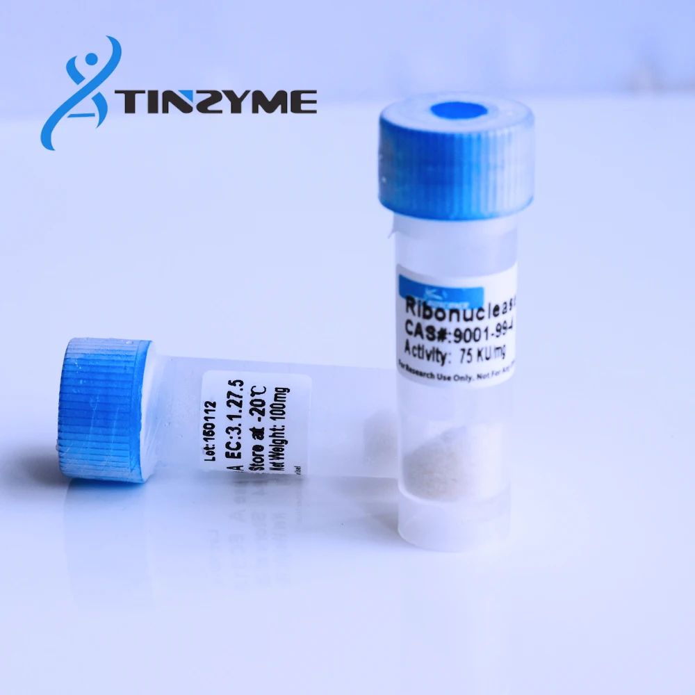 
RNase A , Ribonuclease A RNase I lyophilized,DNAse free 
