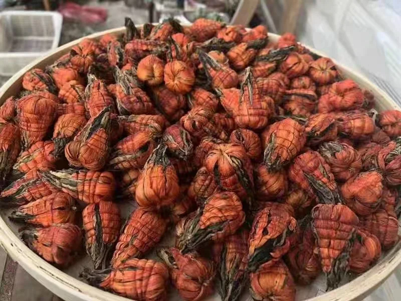 Free Samples Blooming Herbal Ball tea flower