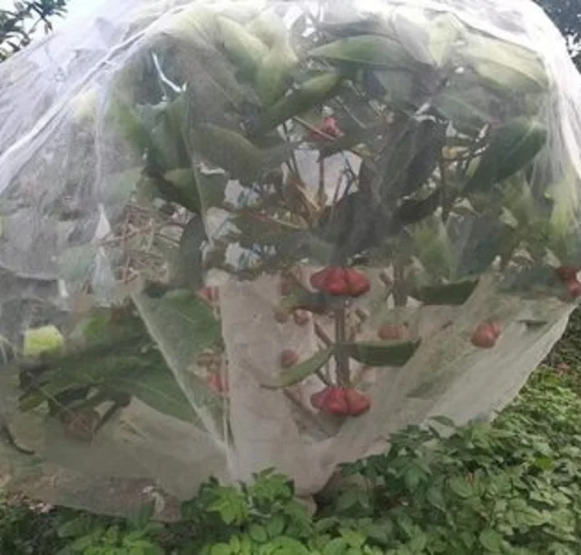 Сетчатый мешок с защитой