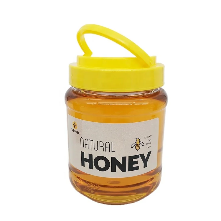 Chinese Pure Bee Honey in 1KG Bottle with Handle