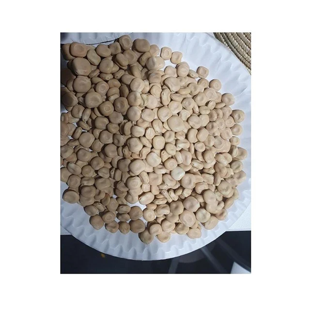Natural Agricultural Food Premium Quality  And Hot Selling Ethiopia Lupin Beans For Wholesale