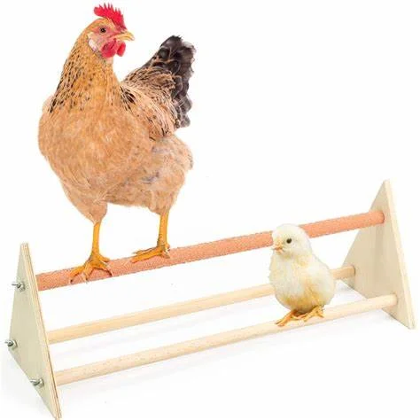 90(W)X25(H)cm Chicken Feet Stand Hen Parrot Large Bird Wooden Swing Chicken Stand Durable Chicken Toys for Hens Standing Rack
