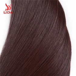 Lida Синтетические прямые плетеные волосы Yaki, пучок футуристического волокна, шелковые прямые удлинители, все цвета в наличии, уток