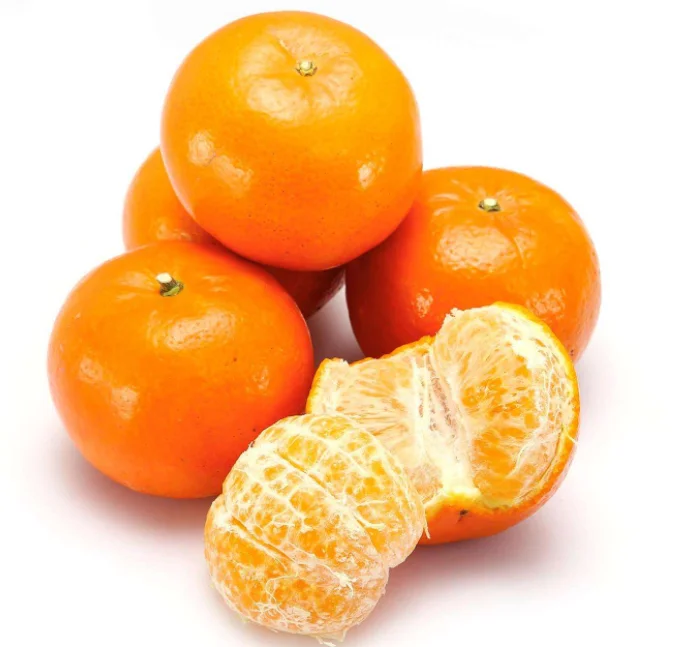 New Citrus Mandarin New Crop Fresh Juicy Orange
