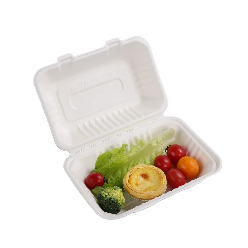 Disposable Paper Pulp Lunch Box Sugarcane Bagasse Biodegradable Take Away Food Containers