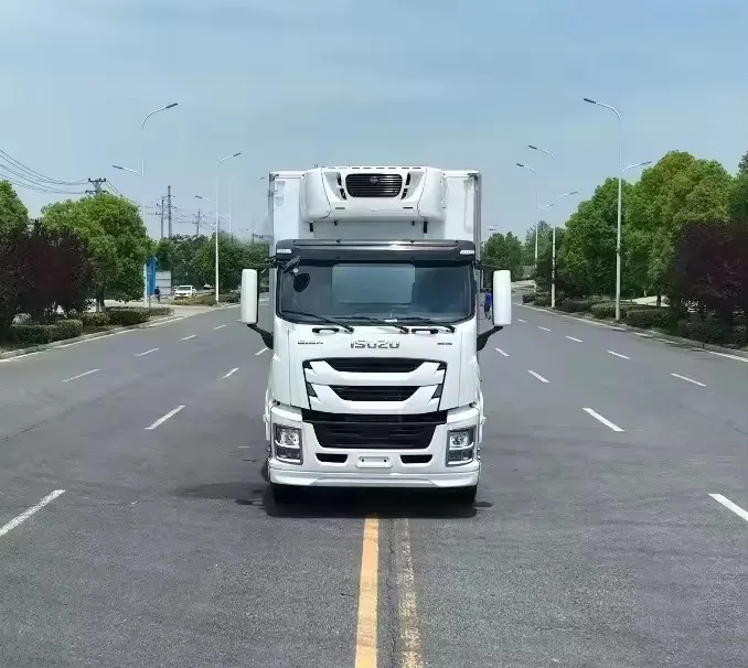 Производство Isuzu GIGA холодильник грузовик морозильник грузовой фургон для овощей и фруктов рефрижератор