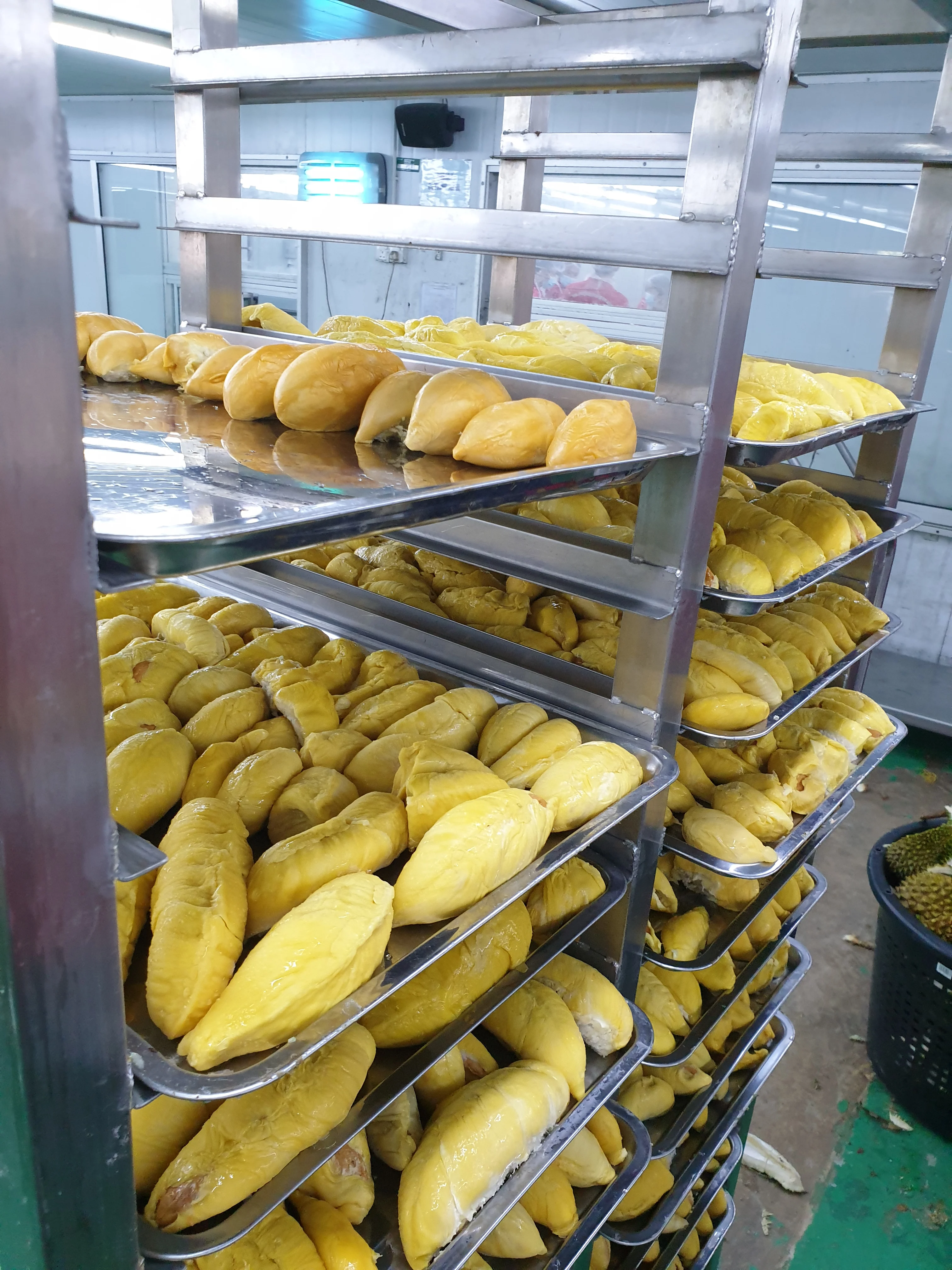 Fresh Musang King Durian Fruit Grade A High Quality from Malaysia Top Durian Supplier