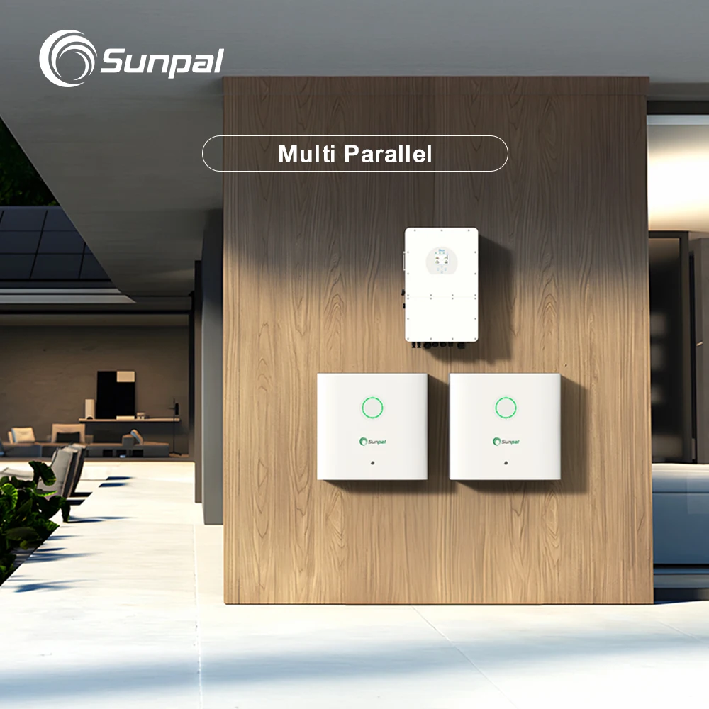 Sunpal Household Solar Lithium Battery 200Ah 51.2V Lifepo4 Rechargeable Battery Price