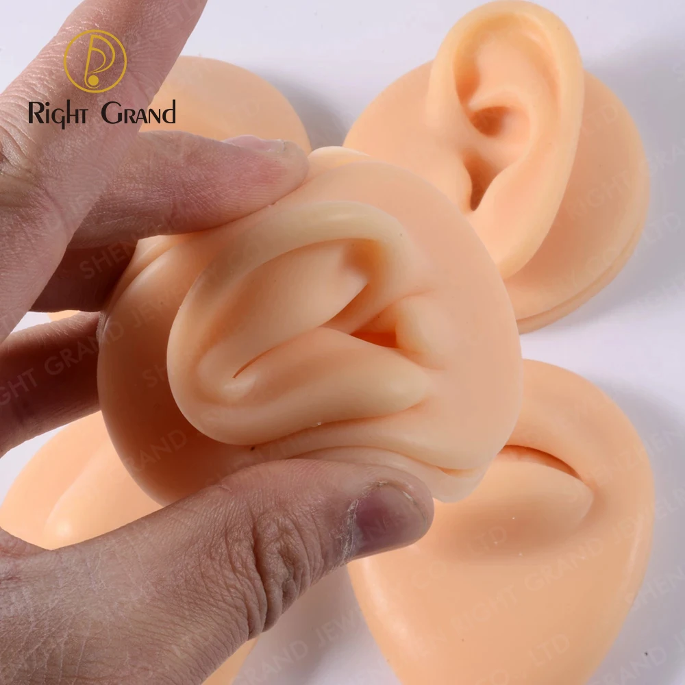 Right Grand Soft Silicone Model Body Part Displays for Acupuncture Human Model Simulation for Jewelry Display Teaching Tool