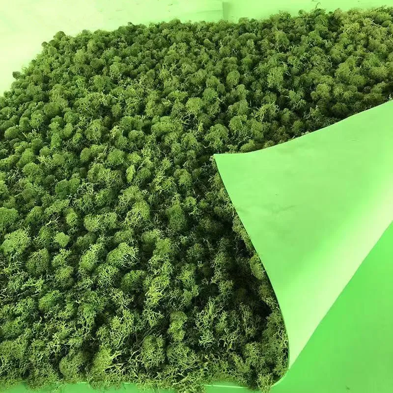 Real preserved moss  impurities fresh moss 30*30cm moss panel for  home wall decoration