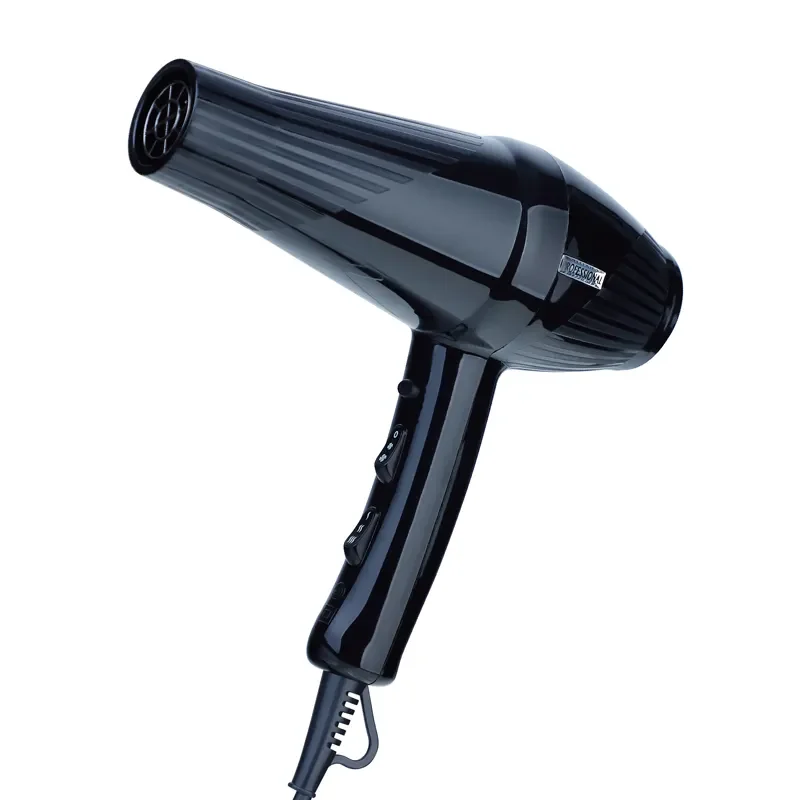 Factory Custom LOGO 2400 W AC Motor Wall Mount Electric Salon Ionic Hair Dryer Super Blow dryer professional salon hairdryer