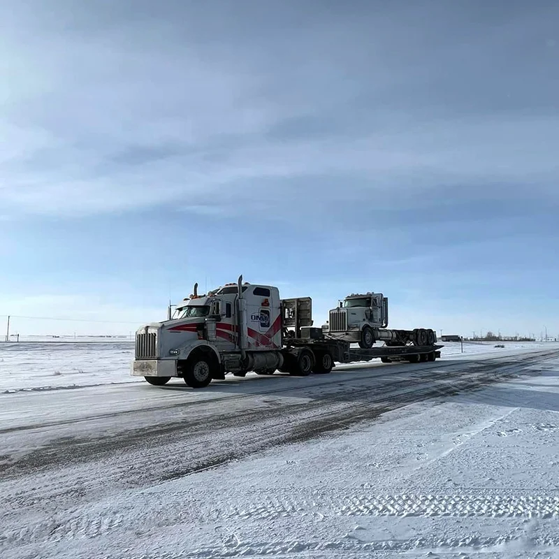 Newly manufactured 3 axle professional transport large equipment metro 50 ton trailer for sale