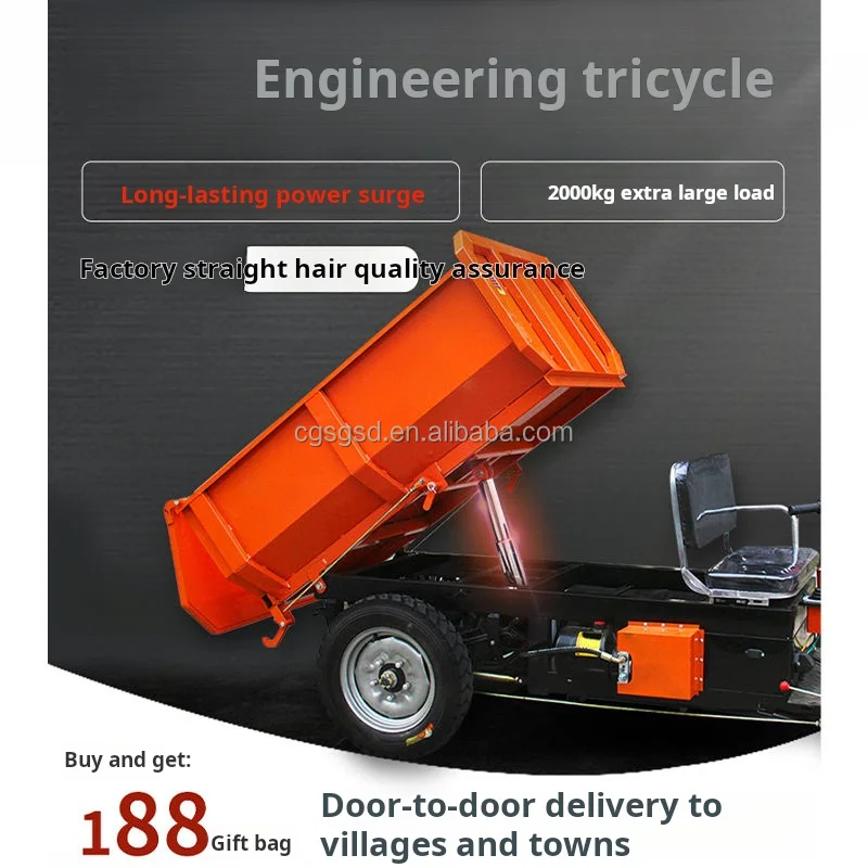 High Speed China E-trikes 3wheel Adult Electric Cargo Tricycle Motorcycle