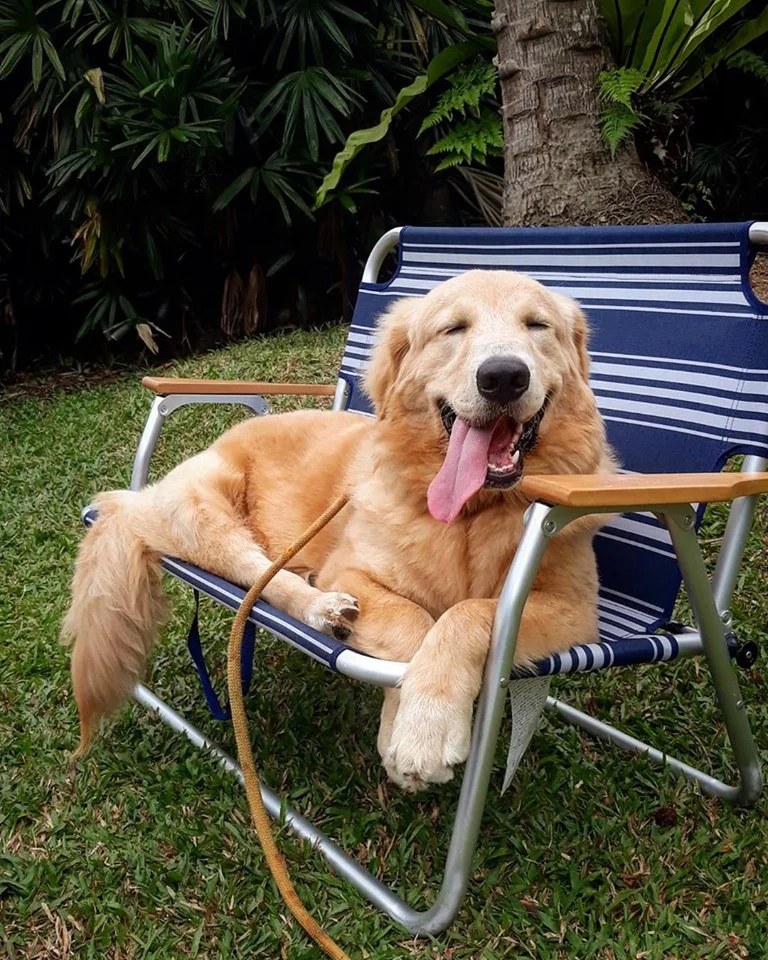 Bearing 160kg double seats foldable beach camping bench chair for 2 person