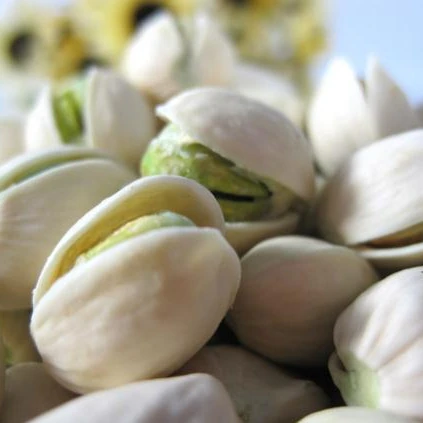 Chinese  Wholesale  Delicious Pistachio  /Pistachio Kernels