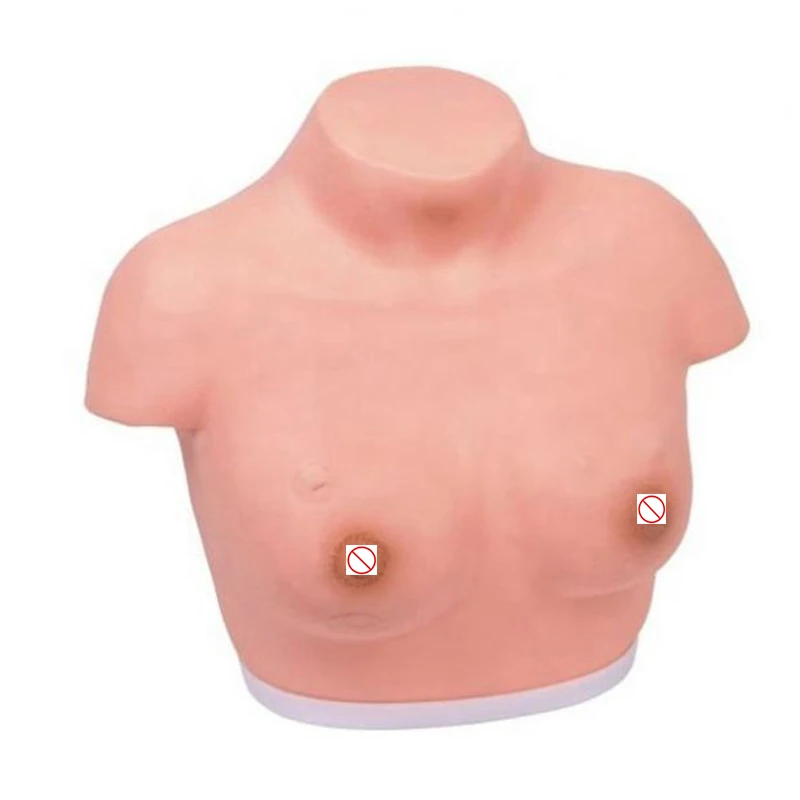 Life size education training model female Inspection and palpation of anatomical breast model