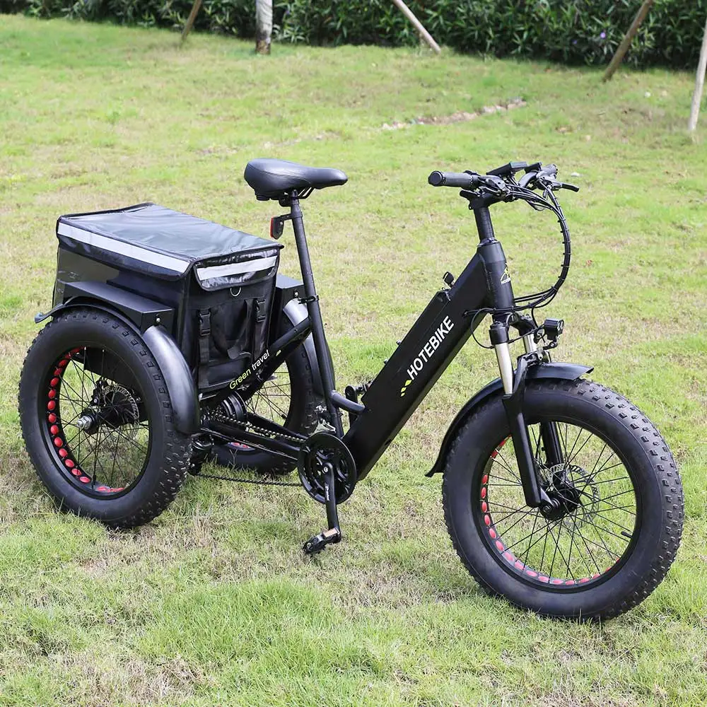 3 Wheel Delivery Bikes Frame Tricycle Ebike E-Cargo Family E Bicycle For Food E-Bike Tricycles 1000W Electric Cargo Bike