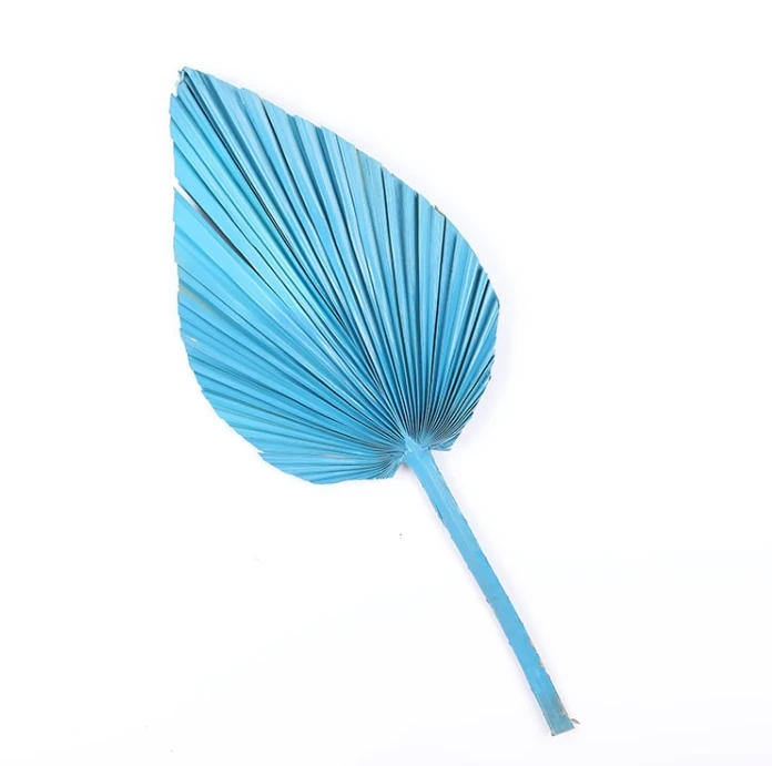 Palm Leaf Dandelion Fan Iron Leaf Eternal Life Flower Wedding Home Decorative Okra Spray Paint Dried Plants & Flowers