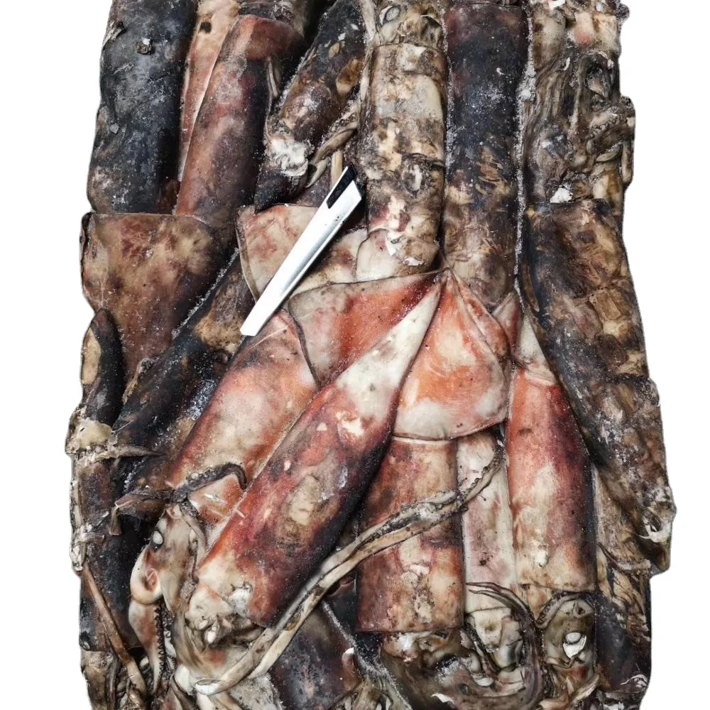Frozen baby giant squid hooks  jig whole round for sale