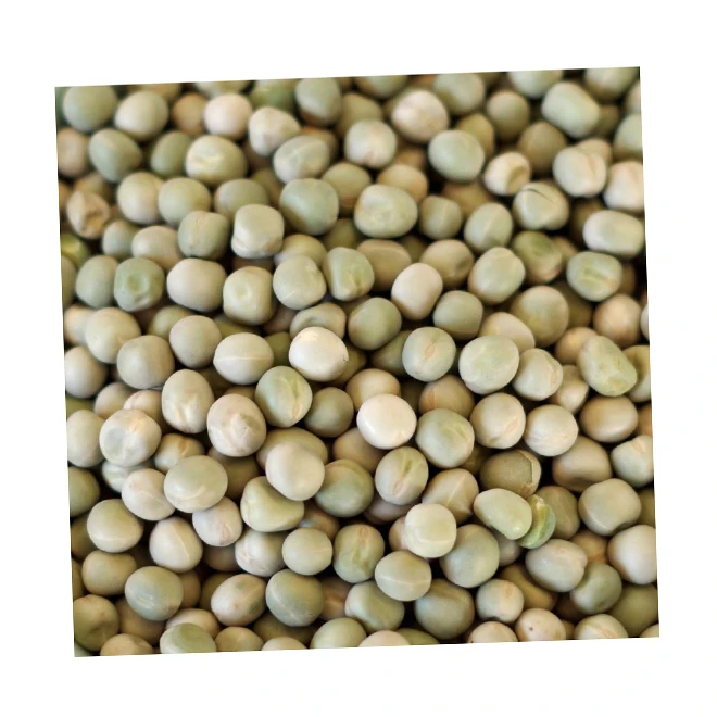 
Ukraine value quality small bulk dried green peas for hot sale 