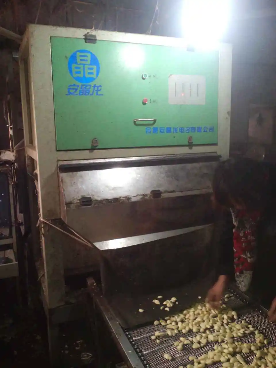 Peeled Garlic Color sorter Garlic Separator