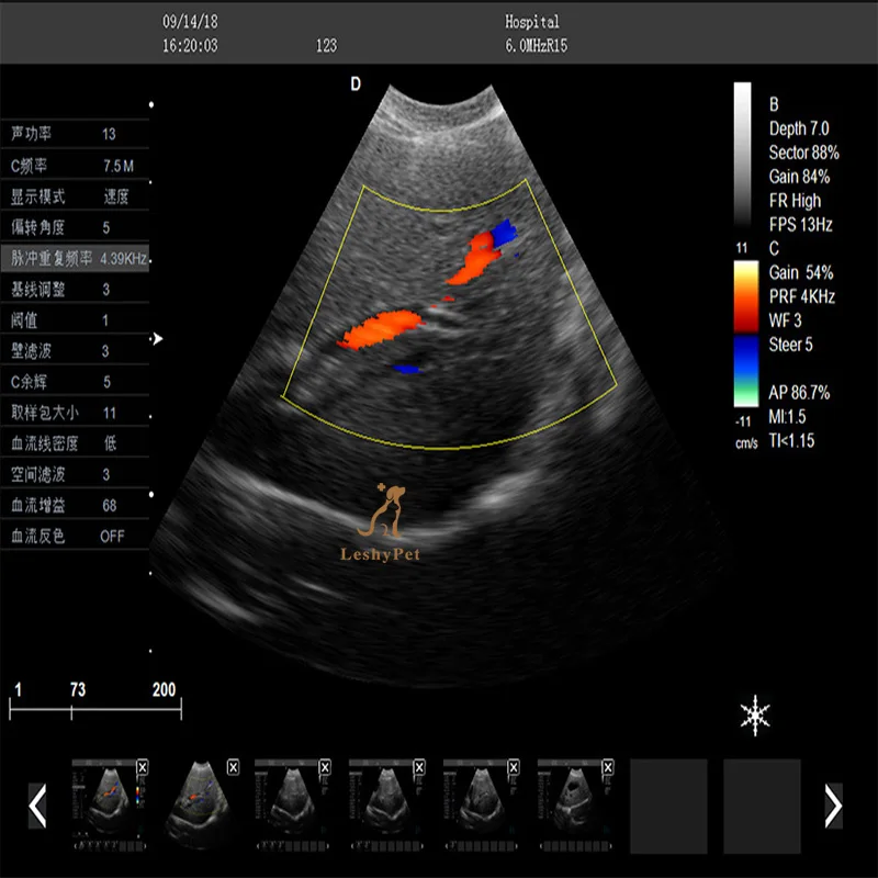 Leshypet  Animal Pregnancy Diagnosis Scanner Portable Pig Large Dog Sheep Ultrasound Machine