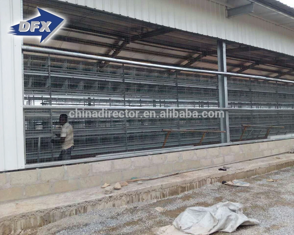 China steel frame layer poultry farm shed structures construction design building