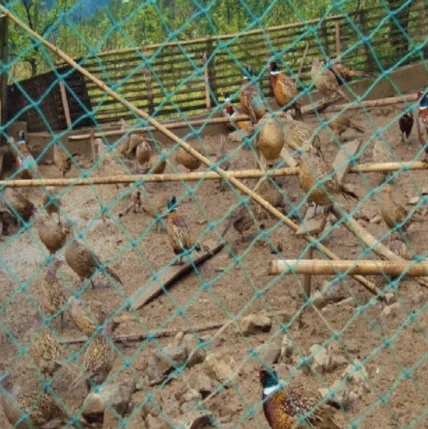 Range net poultry chicken plastic mesh net rolls for poultry/plastic net for chicken