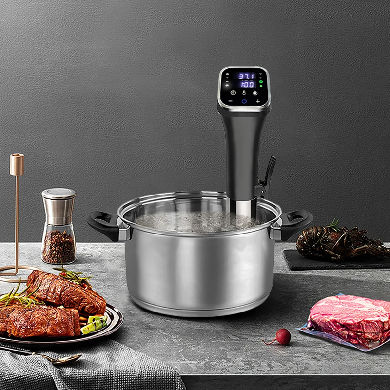 Professional Circulator Beef Cooker Smart Cooker With LED Accurate Temperature Setting and Digital Timer Slow Cooker