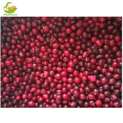 Exporting Frozen Lingonberry IQF Cranberries In Bulk