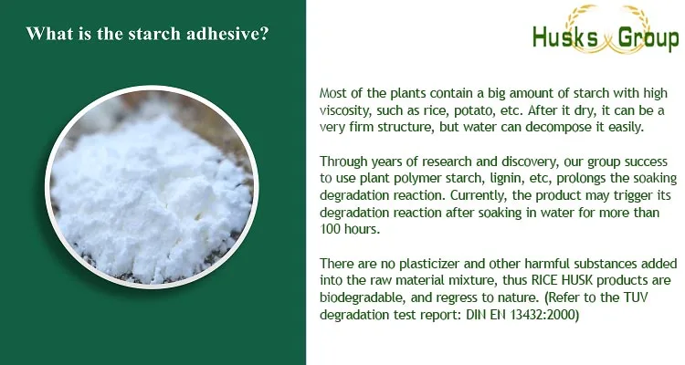 plant starch