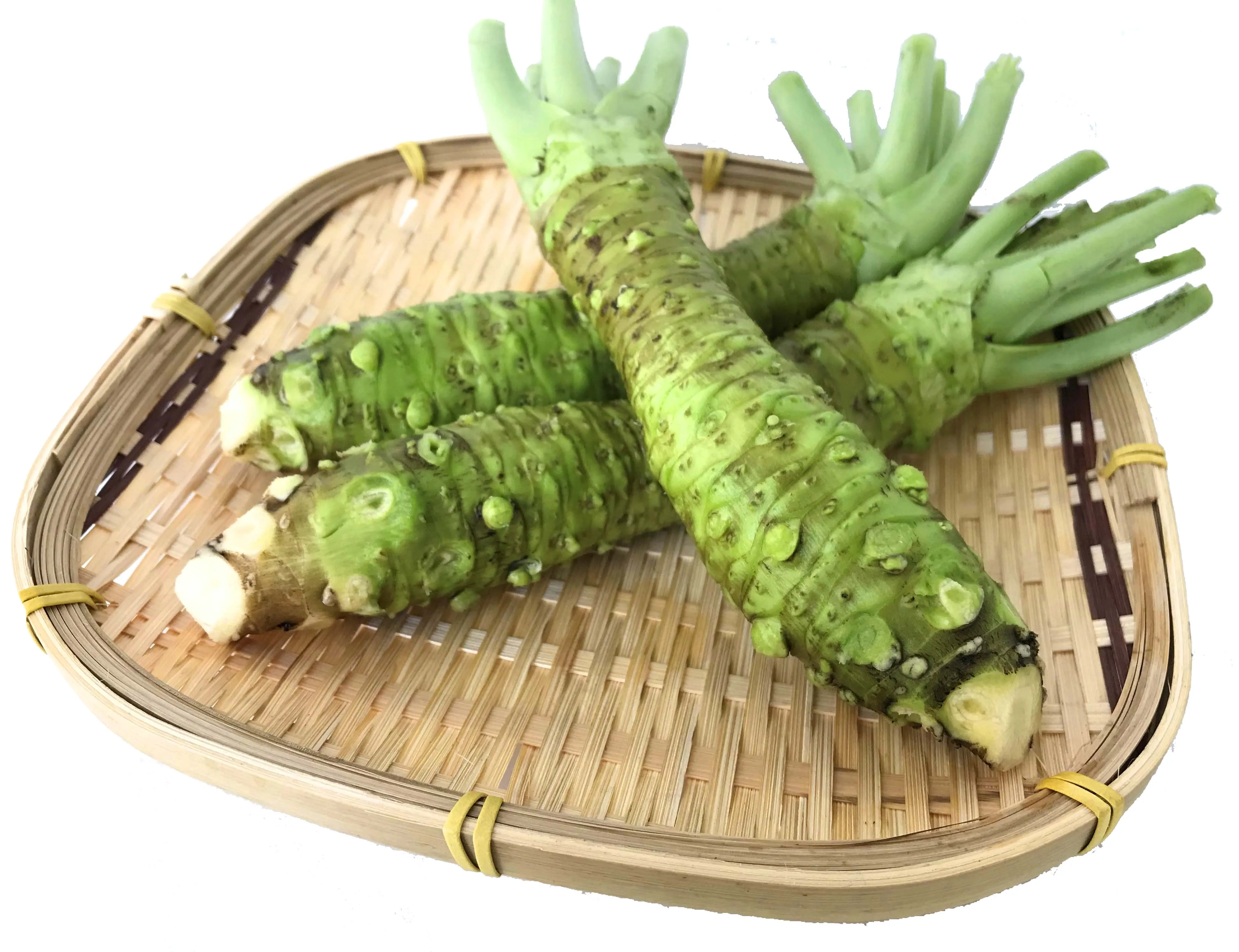 Аутентичный свежий сильный аварийный соус васаби оптом