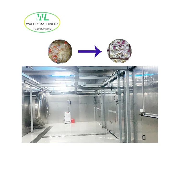 Hot Sale Large Scale Industrial Vacuum Freeze Dryer for Sweet Corn Food Lyophilizer Strawberry Freeze Drying Equipment