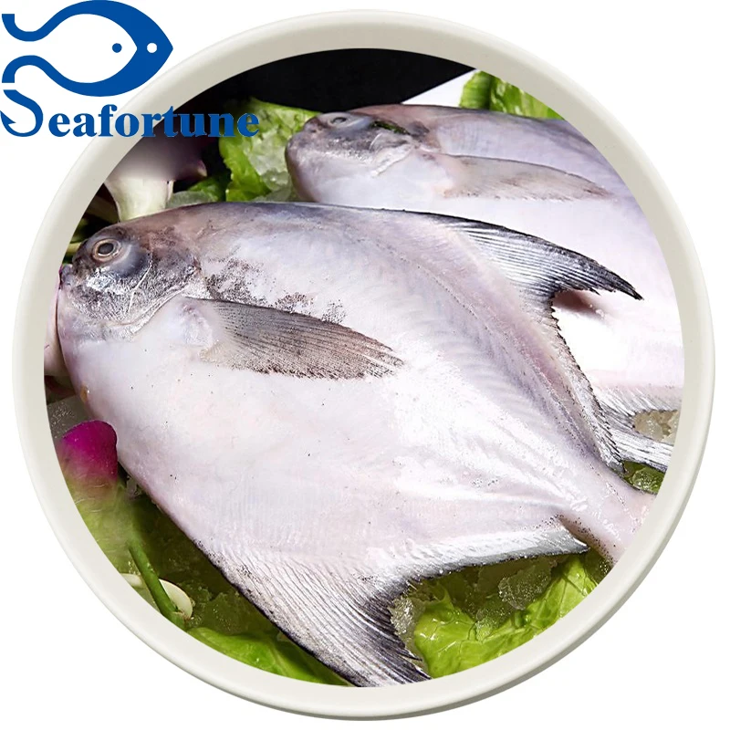 Оптовая продажа, цельный круглый замороженный белый помад