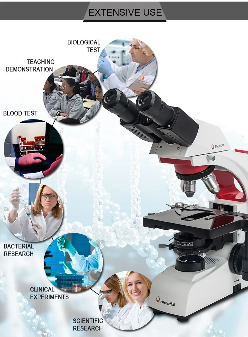 Phenix BMC302-IPL 40X-1600X fiber optic inspection binocular biological ent digital microscope for diatomite