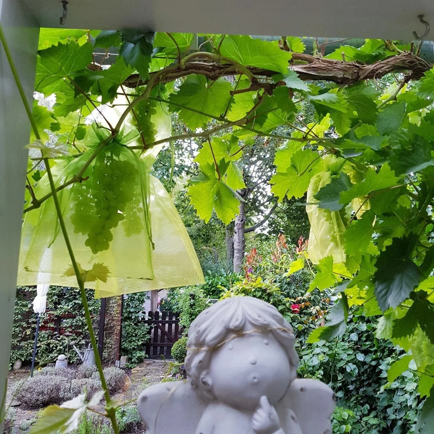 Fruit Protection Bags Netting Bags with Drawstring for Fruit Vegetable Cover Mesh Bag