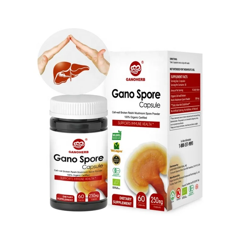 Organic Ganoderma Gano  Lucidum derma  Lingzhi Reishi Mushroom Spore Capsules ling zhi ganoderma lucidum power
