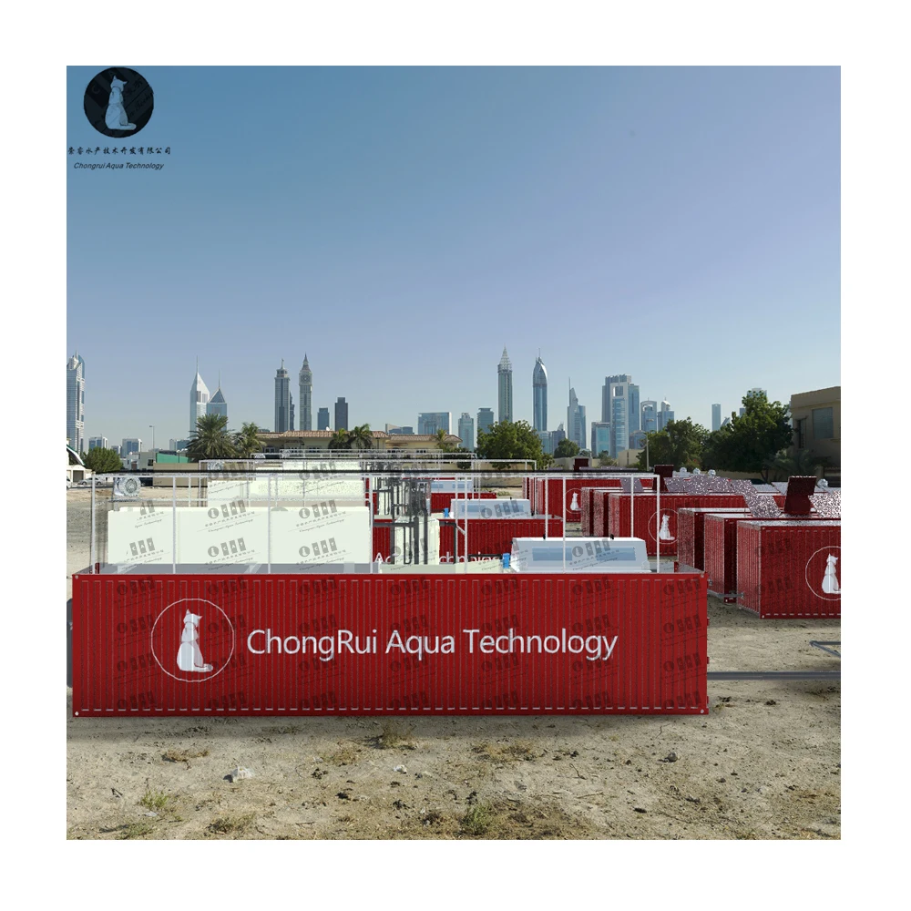 Greenhouse Growing System Commercial Industrial Shipping Container Farm with Ras