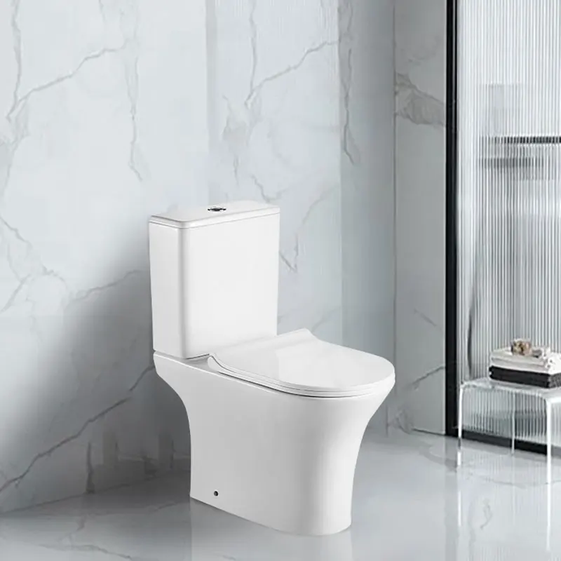 Wholesale Economics Wc Complet Dual Flush Washdown Toilet Ceramic Toilet For Bathroom Water Closet