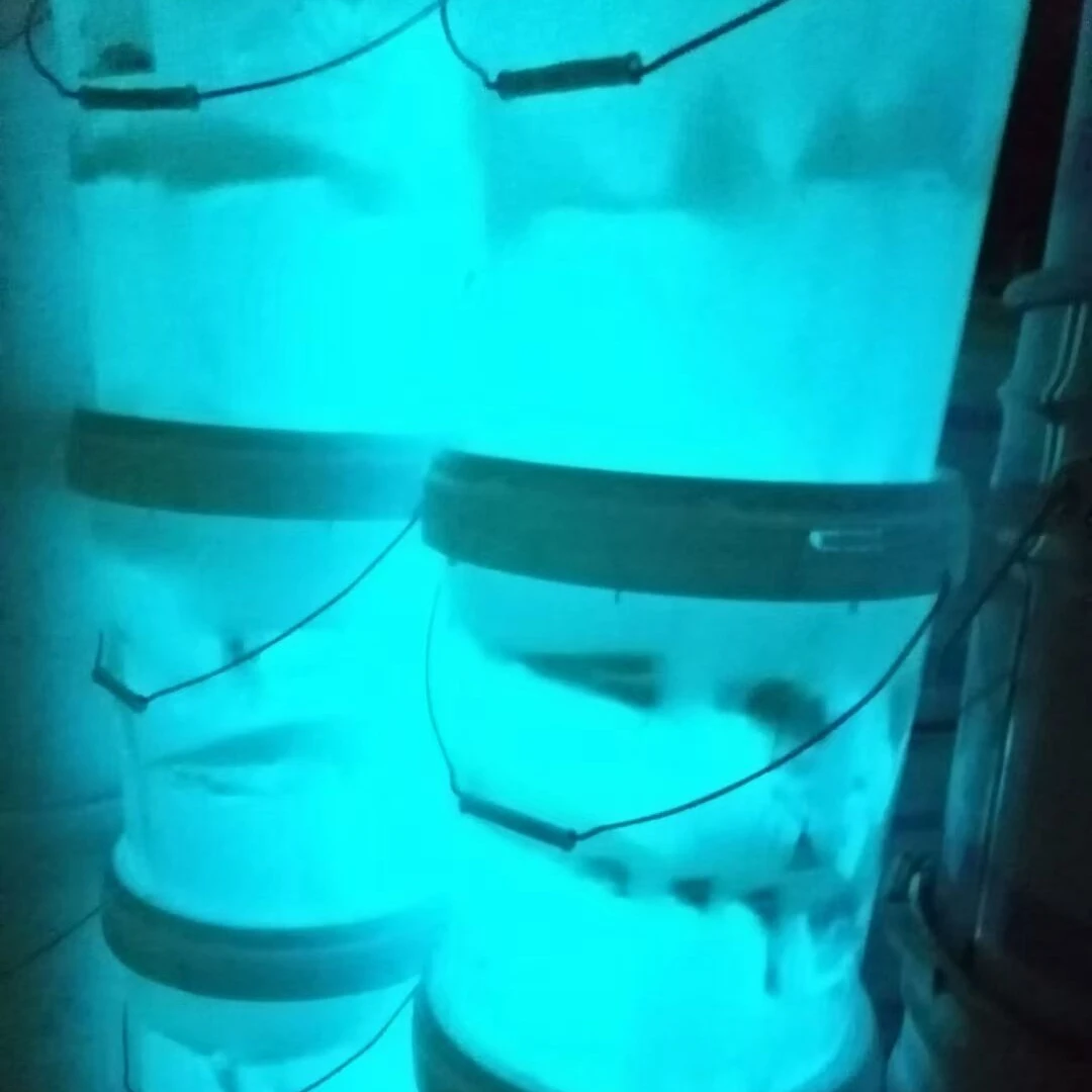 
Glow in the dark car spray paint pigment phosphor pigment paint for auto painting 