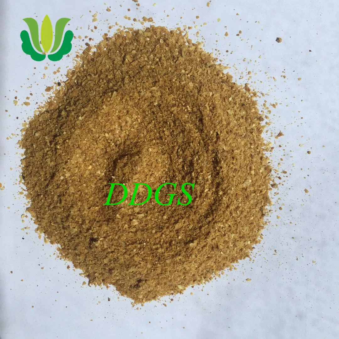 food grade animal feed yellow corn DDGS