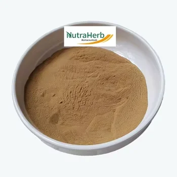 Hot Sale Mint Powder Mentha Piperita Leaf Extract 10:1 Peppermint for Selling