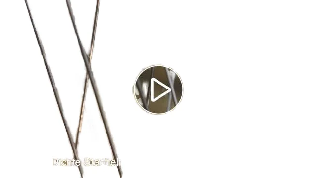 9 Pack Durable Stainless Steel Bird Spikes 25cm Small Bird Repellent Arrow Pigeon Fence Kit Pest Control deterrent