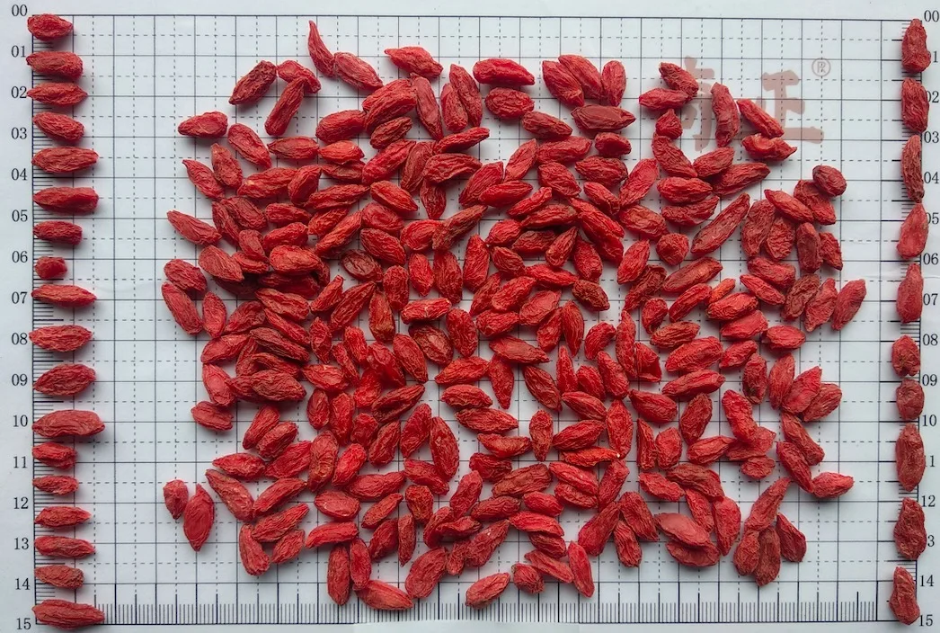 
ganshu chinese new crop sweet taste red wolfberry dried 