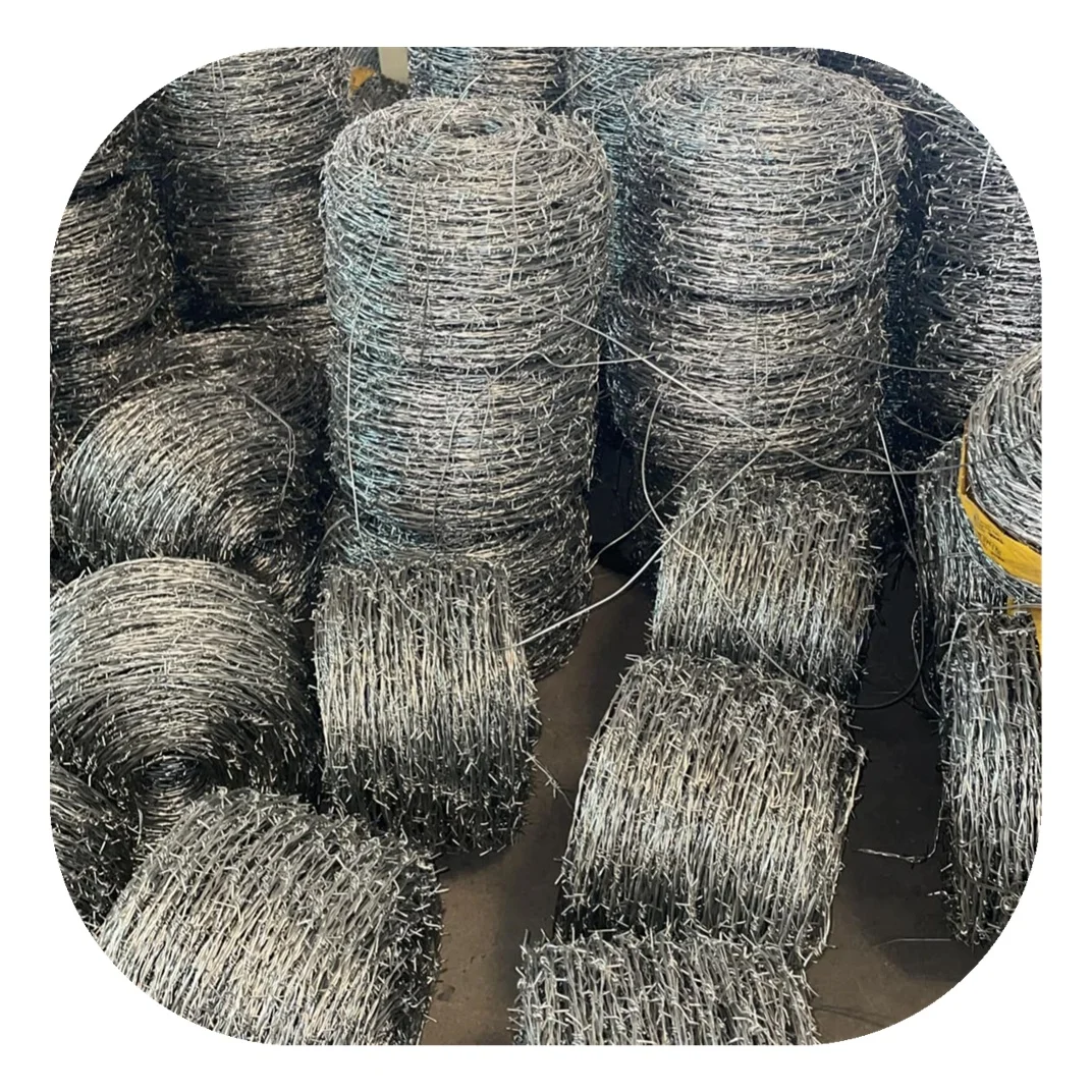 Manufacturer Sales Cheap Price Razor Barb Wire Per Roll / Galvanized Barbed Farm Fence