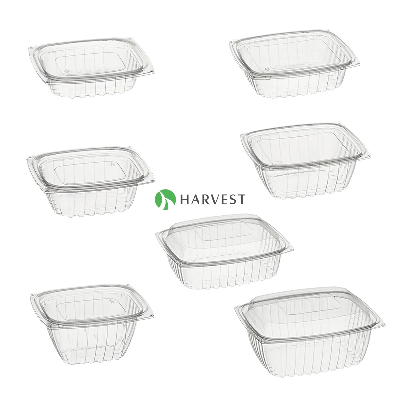 HB-24 Bread Cookie Salad Disposable Transparent Plastic Food Container